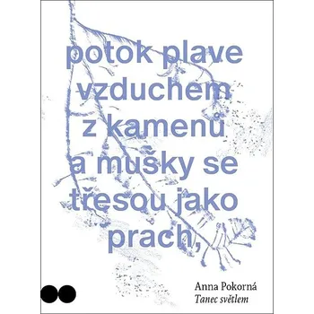 Kniha Tanec světlem Kniha