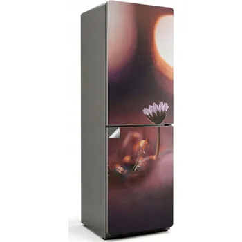 Fototapeta Samolepicí Samolepicí bez bublinek na ledničku Jemný květ po ránu