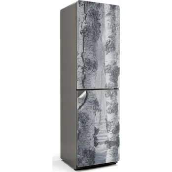 Fototapeta Ochranná samolepka na ledničku Samolepicí Fólie Mlhavý březový les