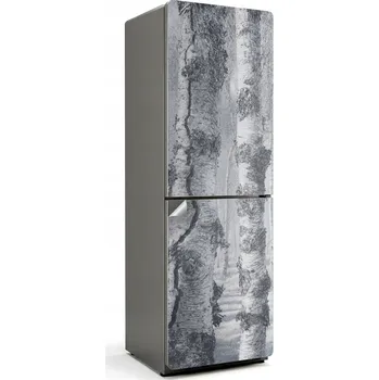 Fototapeta Samolepka na ledničku Bez bublinek - Bubble Free - Mlhavý březový les