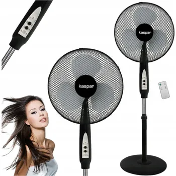 Domácí ventilátor Podlahový ventilátor Kaspar KAS25006 černý