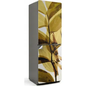 Fototapeta Samolepicí nálepka na ledničku do kuchyně Průhledné listy a květiny