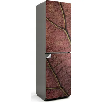 Fototapeta Samolepicí bez bublin na ledničku Textura listu s žilkami