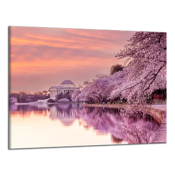 Obraz Obraz na plátně Jaro ve Washingtonu , jednodílný 4165AX
