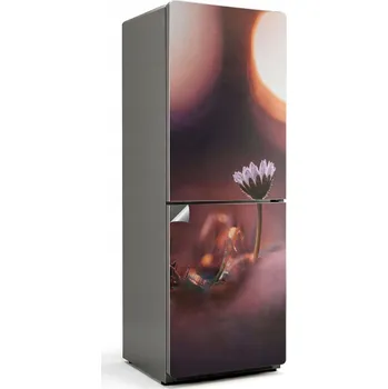 Fototapeta Samolepka Fólie na ledničku Snadné čištění Jemná květina po ránu