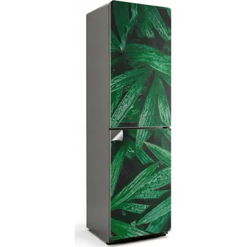 Fototapeta Ochranná samolepka na ledničku Samolepicí Fólie Listy s kapkami vody