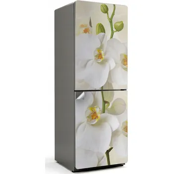 Fototapeta Samolepicí Samolepicí bez bublin na ledničku Květinové detaily orchidejí