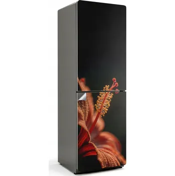 Fototapeta Samolepicí Samolepicí na ledničku do kuchyně Jemný květ v přiblížení