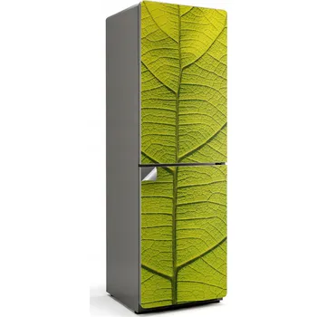 Fototapeta Ochranná samolepka na ledničku Samolepicí Fólie s motivem listů rostlin