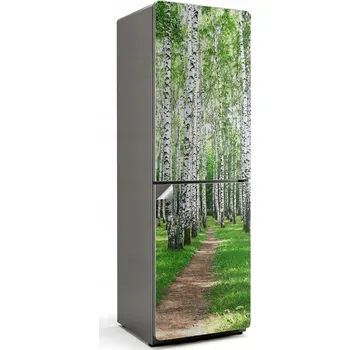 Fototapeta Samolepicí Samolepka Na Ledničku Fólie do Kuchyně Alej stromů v lese
