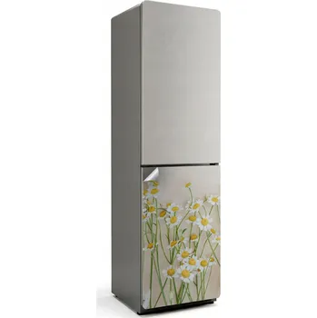 Fototapeta Samolepka Fólie na ledničku Snadné čištění Minimalistické květinové uspořádání