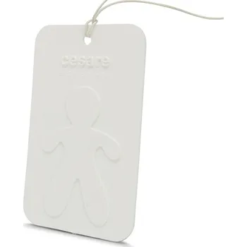 Vůně do auta Závěsná vůně Mr&Mrs Fragrance Cesare Scented Card Fresh Air