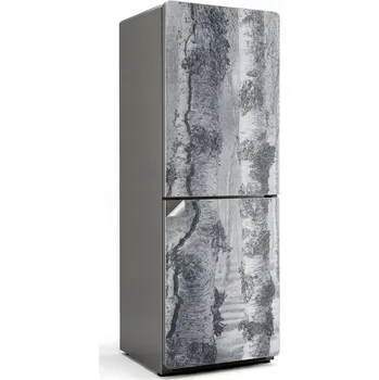 Fototapeta Samolepka / Fólie na lednici s technologií Easy Stick - Mlhavý březový les