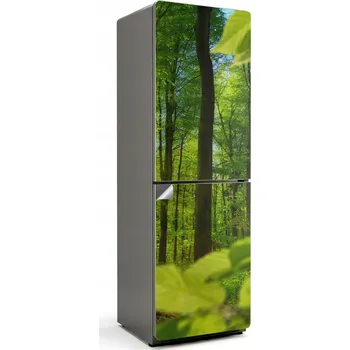 Fototapeta Ochranná Dekorativní Nálepka na Ledničku Výtisk Zelený les ve slunci