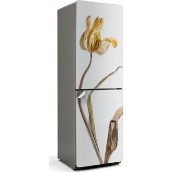 Fototapeta Samolepicí samolepka na ledničku Snadná montáž Uschlý květ tulipánu