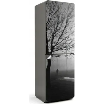 Fototapeta Samolepicí Fólie na Ledničku, Dekorativní Nálepka do Kuchyně - Zimní Procházka v Mlze