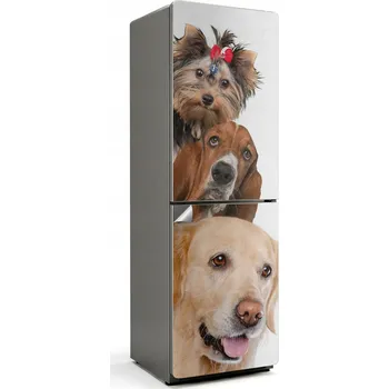 Fototapeta Samolepicí Fólie na ledničku, polepka do kuchyně - Tři psi v jednom záběru