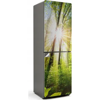 Fototapeta Univerzální kuchyňská samolepka na ledničku - Prosvítající sluneční paprsky