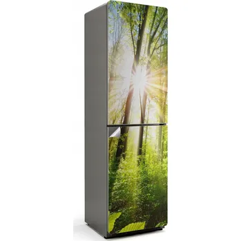 Fototapeta Dekorativní Samolepicí nálepka na ledničku s pronikajícími slunečními paprsky