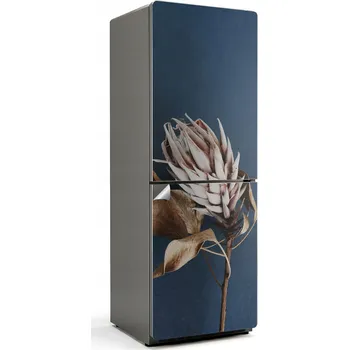 Fototapeta Samolepicí na ledničku do kuchyně Přiblížení na sušenou rostlinu