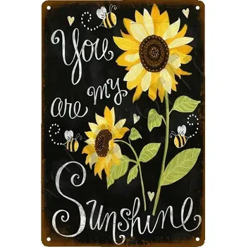 Plechová cedule Plechová retro cedule | zahradní dekorace - 18 , 40 x 30 cm