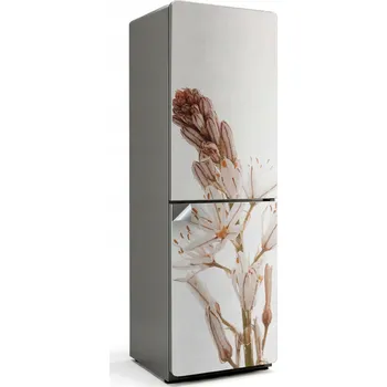 Fototapeta Samolepicí nálepka na ledničku do kuchyně Jemná rostlina v přiblížení