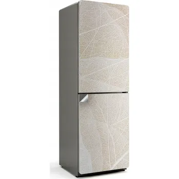 Fototapeta Samolepka Samolepicí na ledničku Přiblížení žilek listu