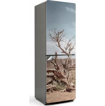 Fototapeta Samolepicí nálepka Samolepicí na ledničku Zkroucený kmen stromu