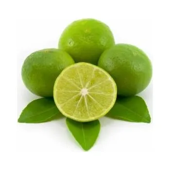 Joypaste Ochucovací pasta Joypaste Limetka (1,2 kg)