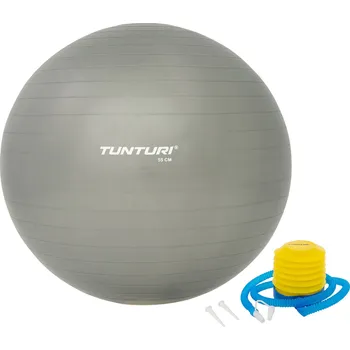 Gymnastický míč Gymnastický míč s pumpičkou 65 cm TUNTURI stříbrný