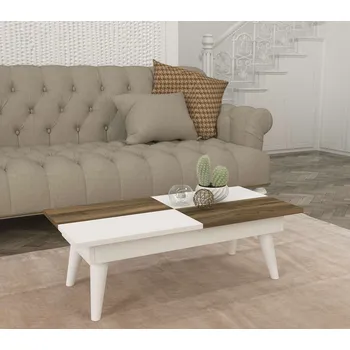 Konferenční stolek SAKAI nízký konferenční stolek, bílá/ořech