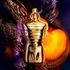 Pánský parfém Jean Paul Gaultier Le Male Elixir Absolu Intense P