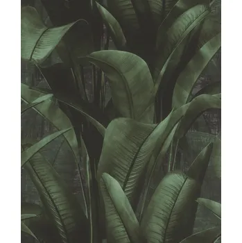 Tapeta Vliesová tapeta zelené listy 416237 / Tapety na zeď Back to Nature (0,53 x 10,05 m) Rasch