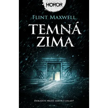 Kniha Temná zima (2) - Flint Maxwell
