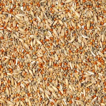 Krmivo pro ptáka Avicentra andulka směs 3Kg