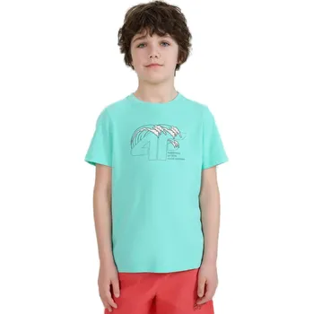 Pánské tričko Chlapecké tričko s krátkým rukávem 4F JUNIOR-TSHIRT M1917-47S-MINT Zelená 158