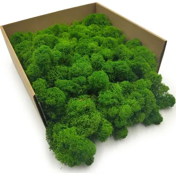 Obraz Mech Chrobotek Finský Lesní Zeleň 250g NETTO