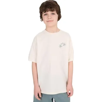 Pánské tričko Chlapecké tričko s krátkým rukávem 4F JUNIOR-TSHIRT M1914-11S-OFF WHITE Bílá 140
