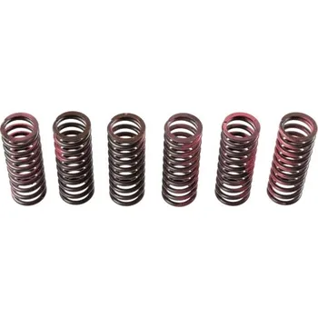 Spojka Spojková pružina - sada TRW MEF307-6