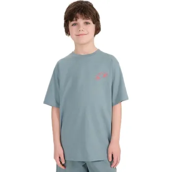 Pánské tričko Chlapecké tričko s krátkým rukávem 4F JUNIOR-TSHIRT M1914-46S-TEAL Modrá 158