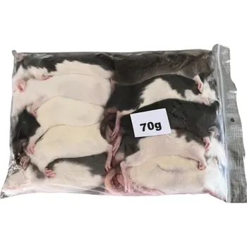 Teraristika Mražený potkan 70g/ balení 10ks