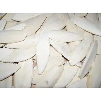 Hračka pro ptáka Sépiová kost 10-15cm