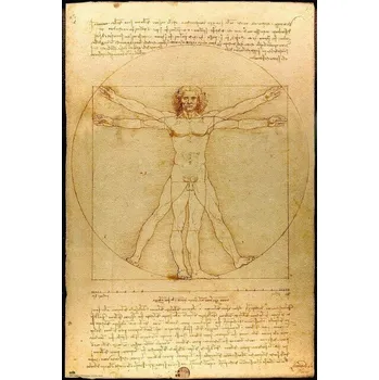 Grupo Erik Vitruviánský muž Leonardo Da Vinci 61 x 91,5 cm