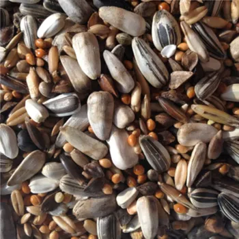 Krmivo pro ptáka Avicentra střední papoušek 1Kg