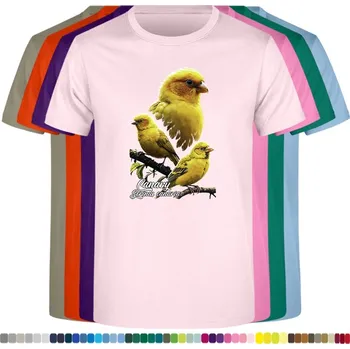 detske-levne-bavlnene-tricko-potisk-kanarek-divoky Barva: Pink - růžová, Dětská bavlněná trička JHK: M