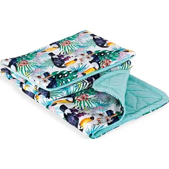 Dětská deka Dětská deka s polštářkem 75x100 cm, mátová Ceba Baby, r.