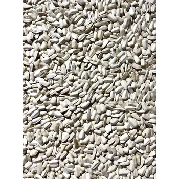 Pro ptáka Slunečnice bílá 2 kg