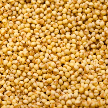 Krmivo pro ptáka Proso žluté 3kg