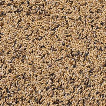 Krmivo pro ptáka Avicentra Drobný exot 2,5Kg