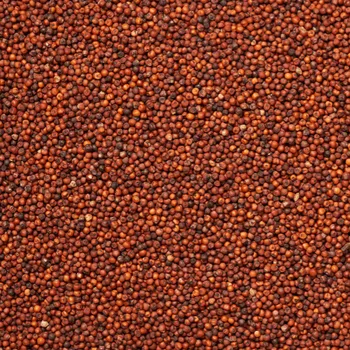 Krmivo pro ptáka Proso červené 3kg